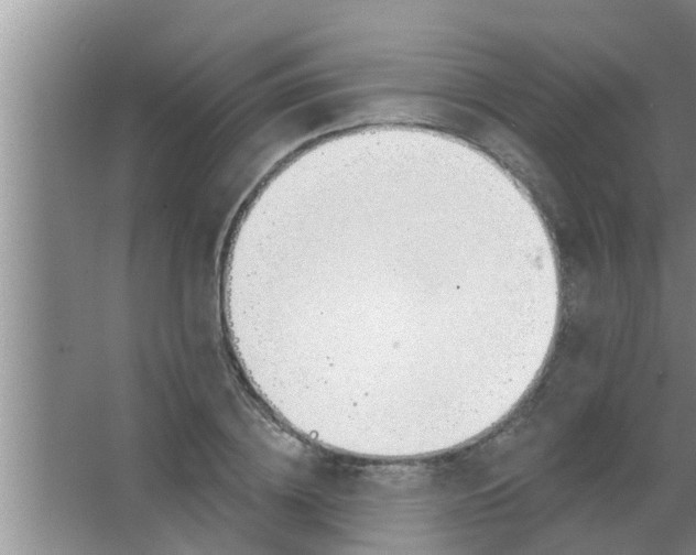 X0000063490836200602031949