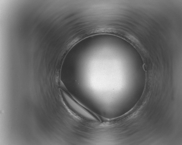 X0000063490841200602031949