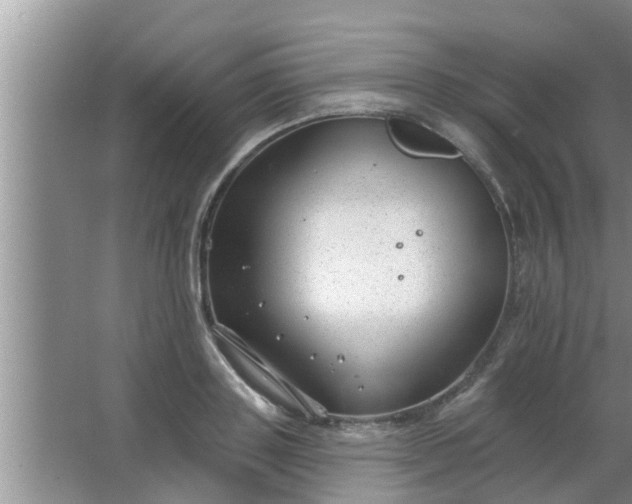 X0000063490843200602031949