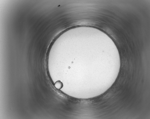 X0000063490848200602031949