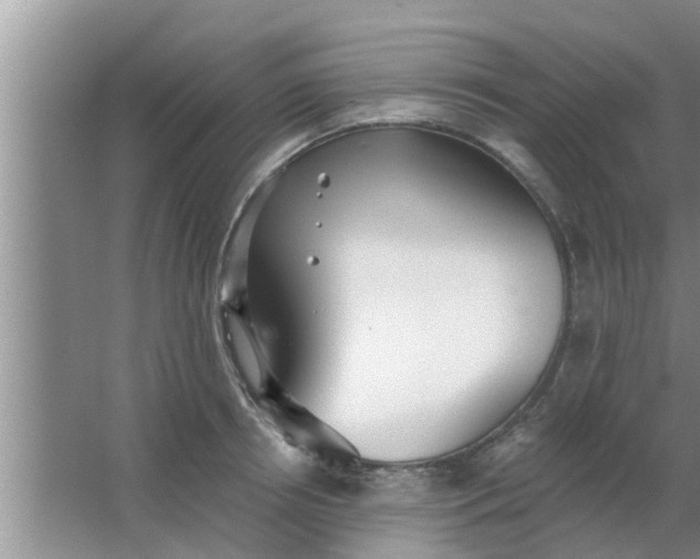 X0000063490850200602031949