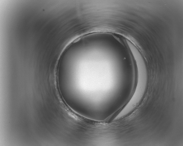 X0000063490854200602031950