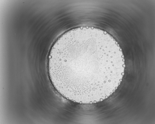 X0000063490856200602031950