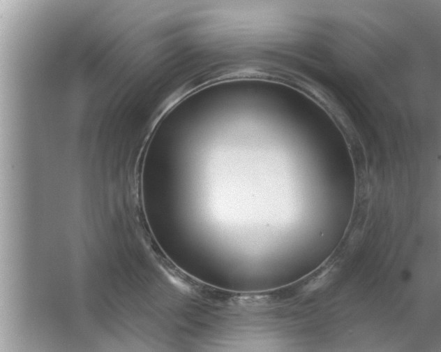 X0000063490858200602031950