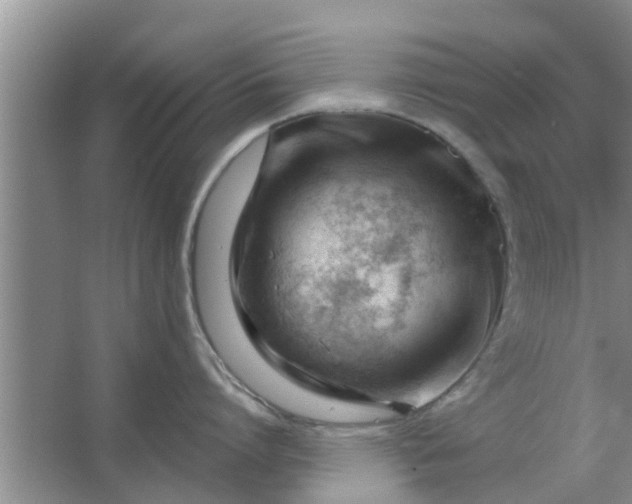 X0000063490864200602031950