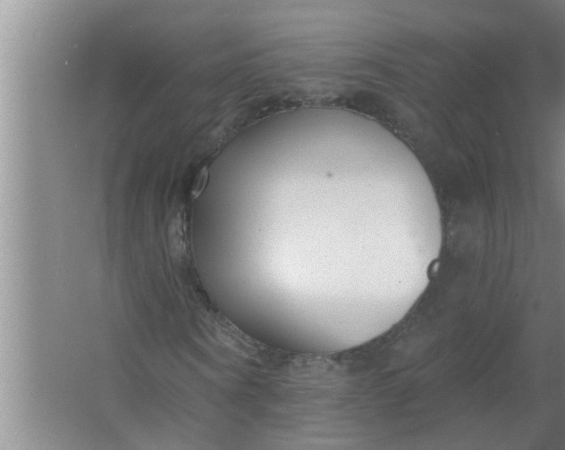 X0000063490866200602031949