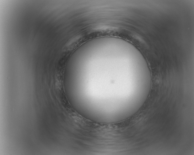 X0000063490869200602031949