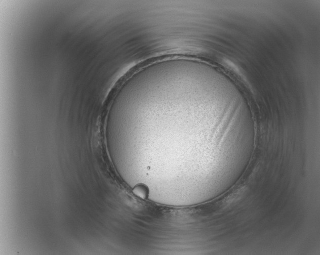 X0000063490875200602031949