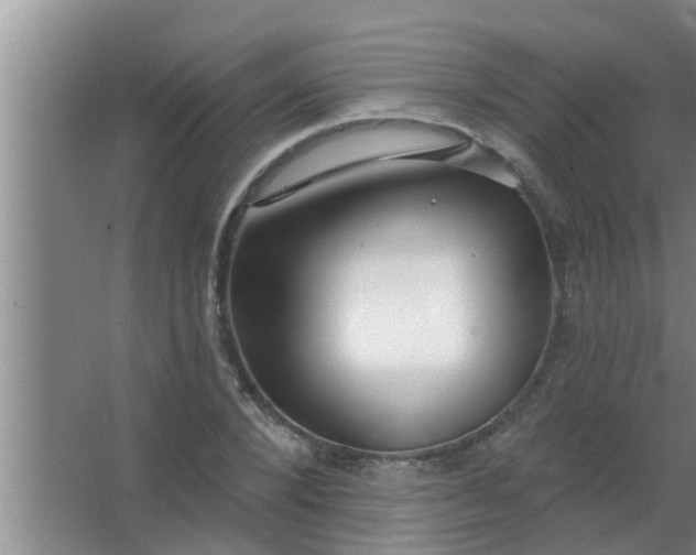 X0000063490880200602031949