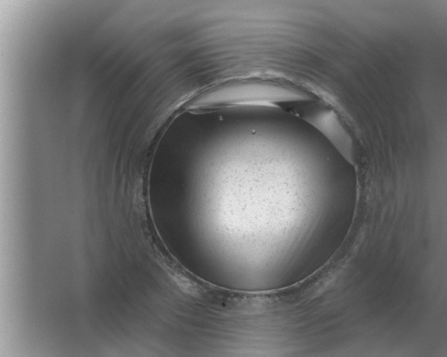 X0000063490881200602031949