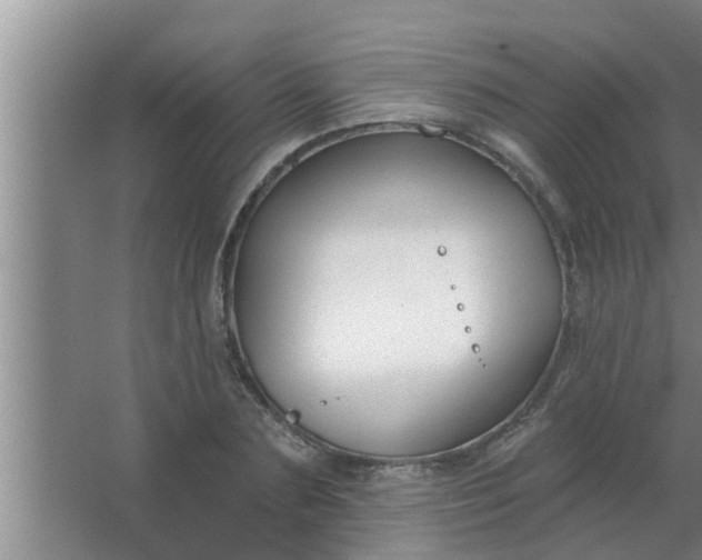 X0000063490883200602031949