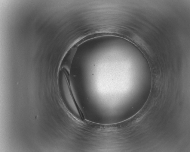 X0000063490884200602031949