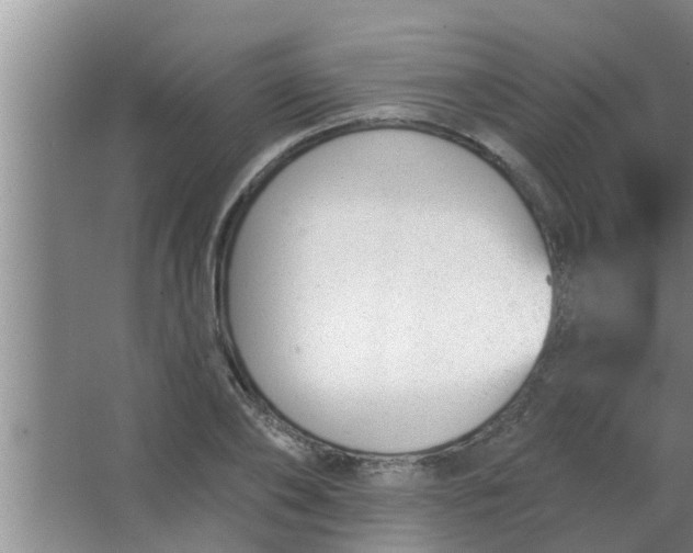 X0000063490886200602031949