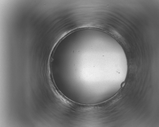 X0000063490892200602031948