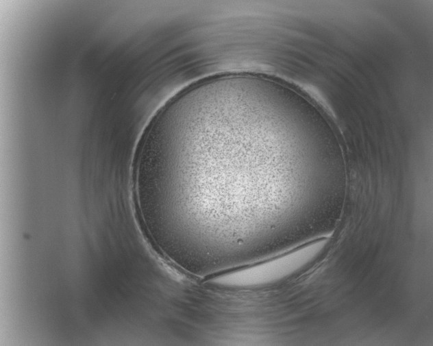 X0000063490895200602031948