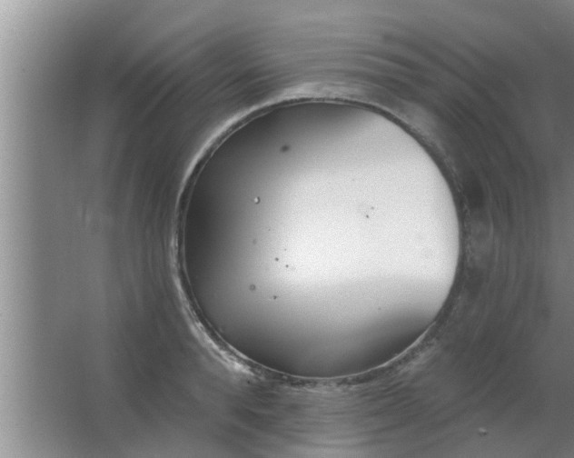 X0000063490896200602031948