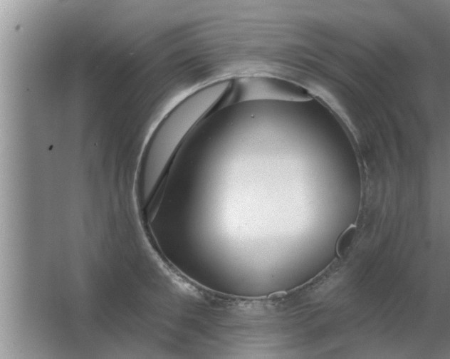 X0000063490901200602031948