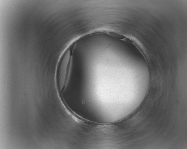 X0000063490902200602031948