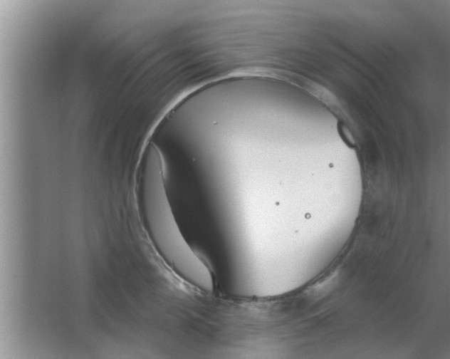 X0000063490908200602031948