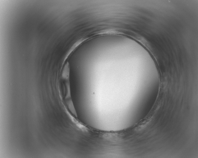 X0000063490909200602031948