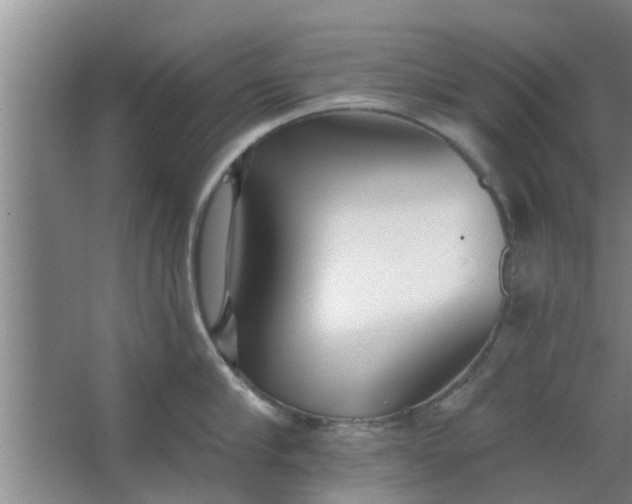 X0000063490910200602031948