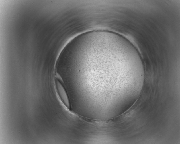 X0000063490911200602031948