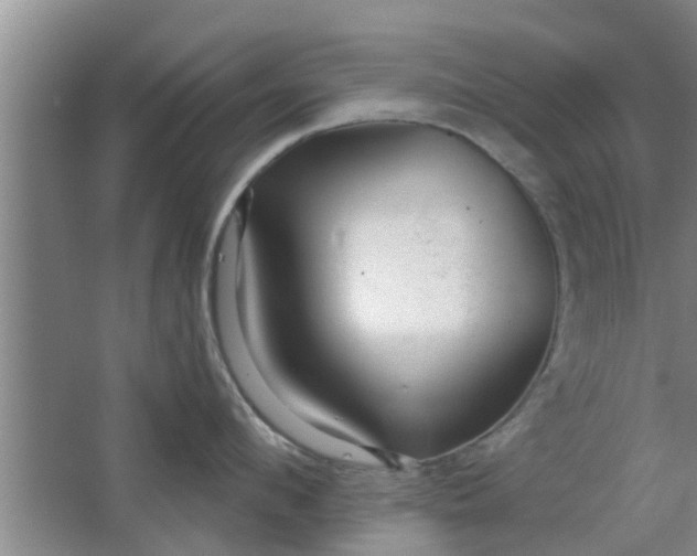 X0000063490912200602031948