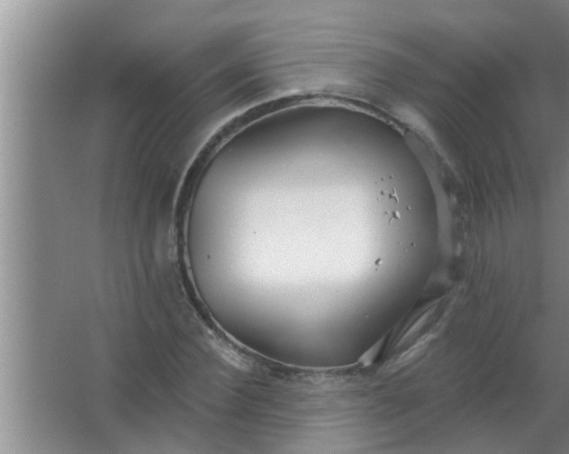 X0000063490924200602031947