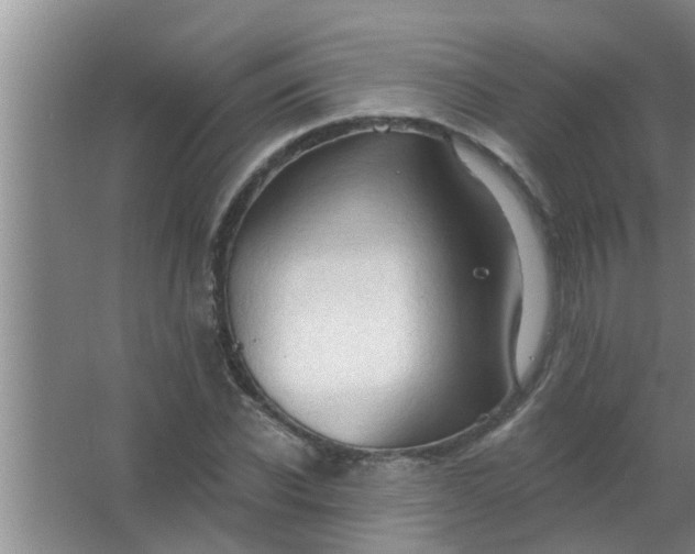 X0000063490926200602031948