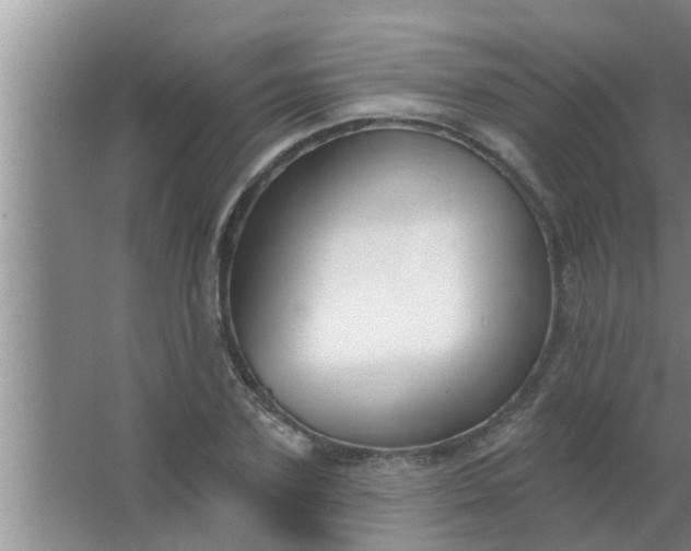 X0000063490931200602031948