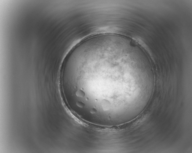 X0000063490941200602031948