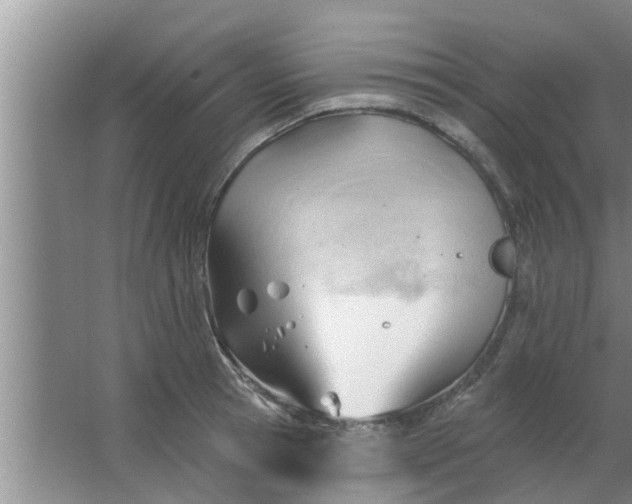 X0000063490945200602031948