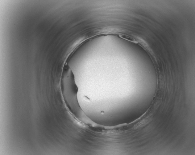 X0000063490946200602031948