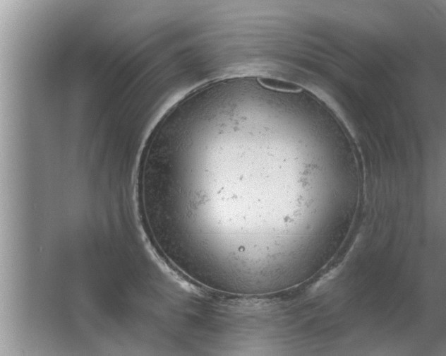 X0000063490949200602031948