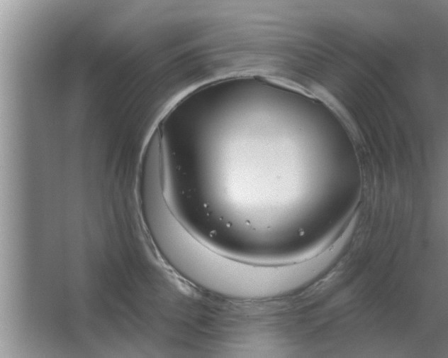 X0000063490956200602031948