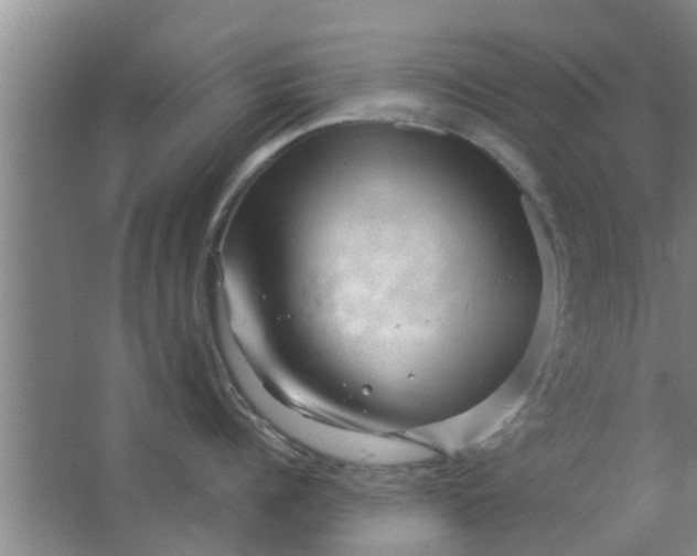 X0000063490960200602031948