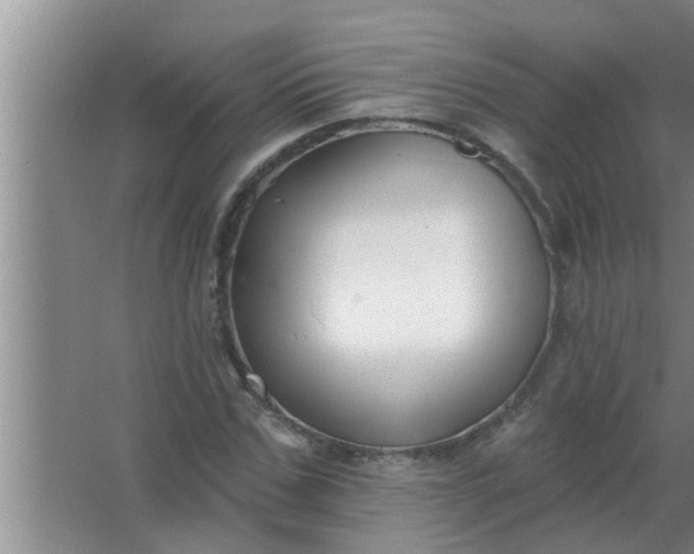 X0000063490971200602031947