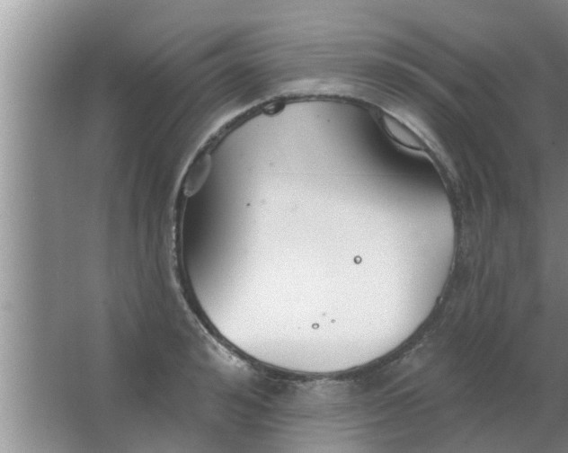 X0000063490992200602031947