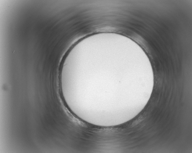 X0000063491000200602031947