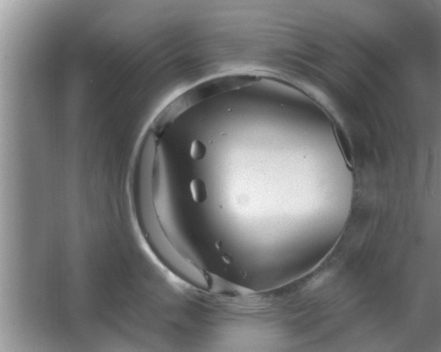 X0000063491007200602031946