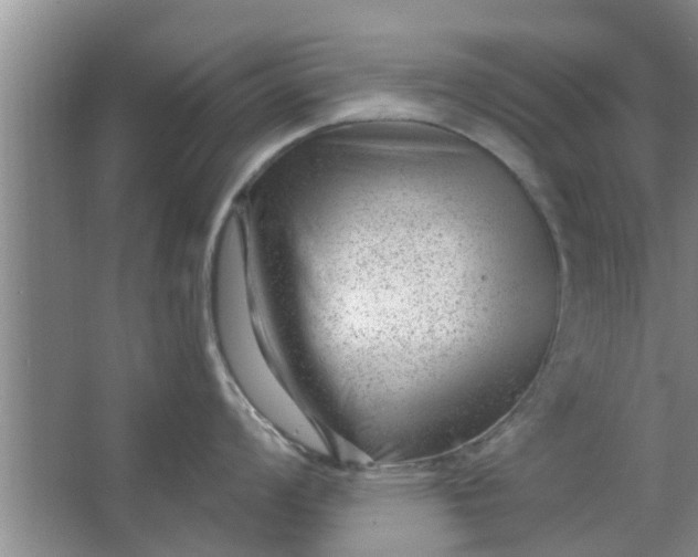 X0000063491008200602031946