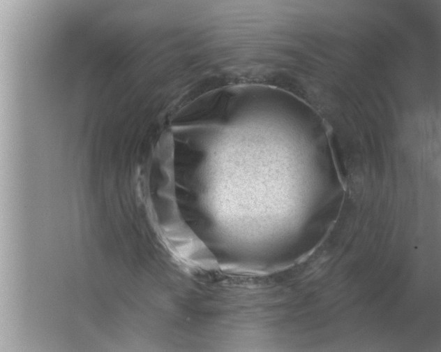 X0000063491010200602031946