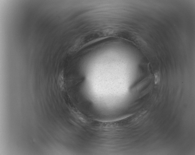 X0000063491011200602031946