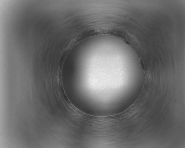 X0000063491012200602031946