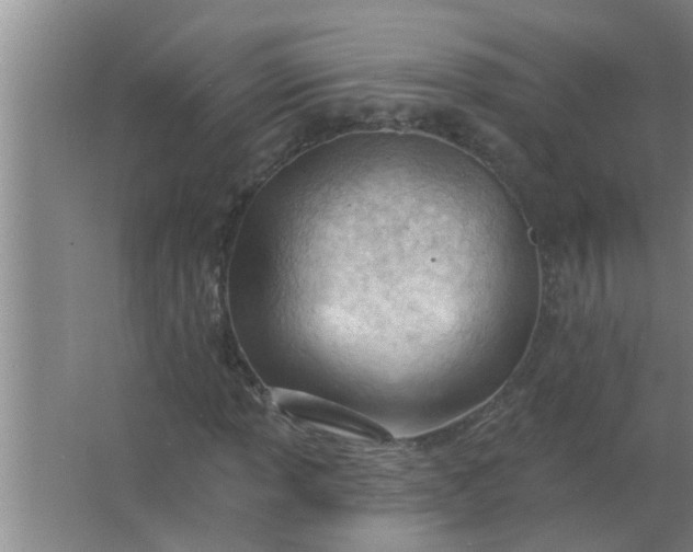 X0000063491013200602031946