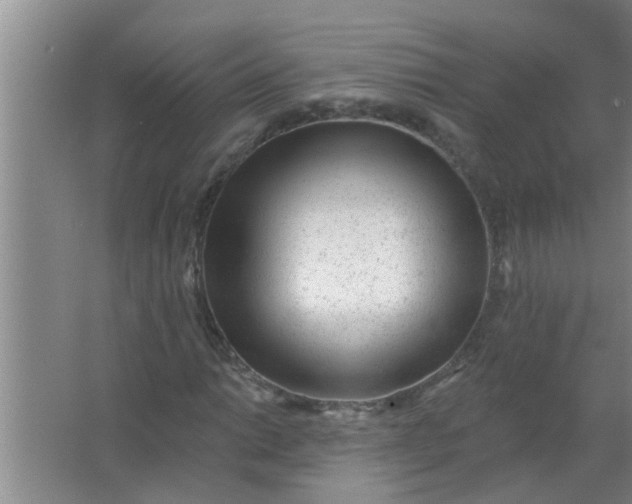 X0000063491014200602031946