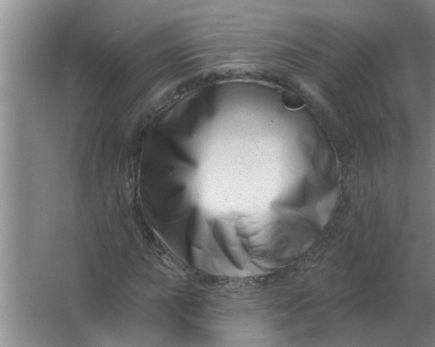 X0000063491015200602031946