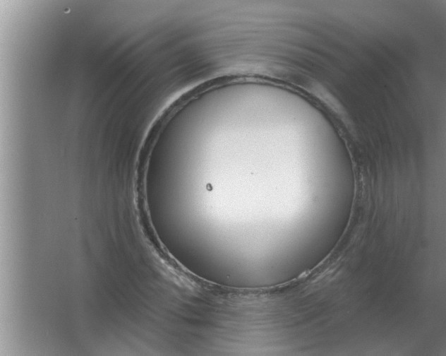 X0000063491020200602031946