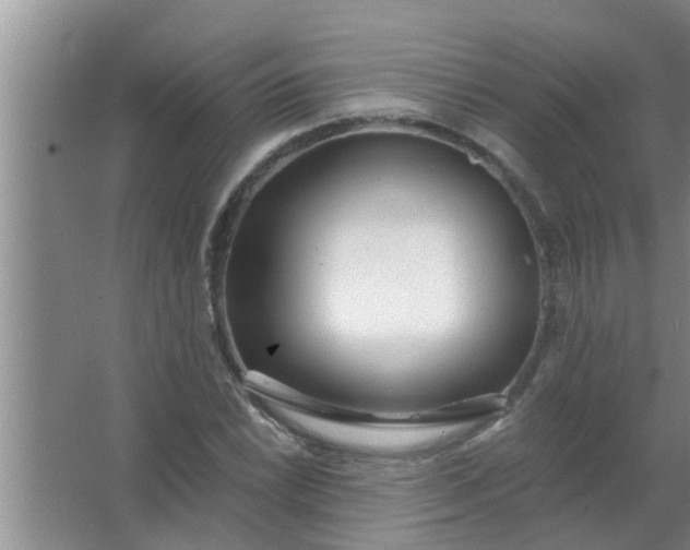 X0000063491022200602031946