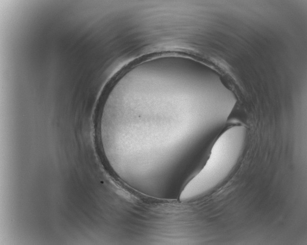 X0000063491024200602031946